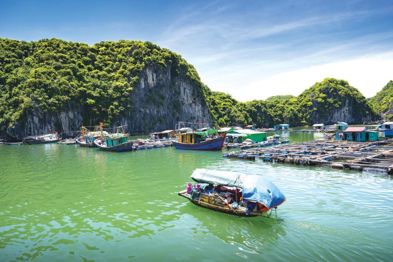ホテル Sena Cruises - Wonder On Lan Ha Bay ハロン エクステリア 写真